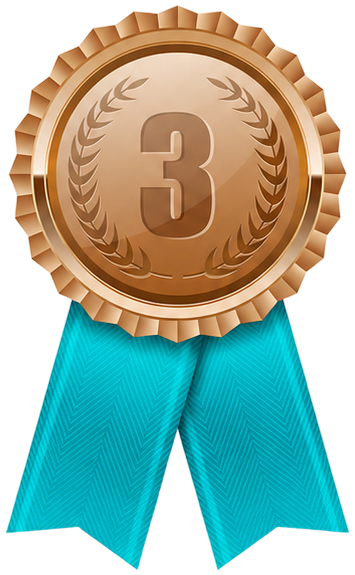3 place medal