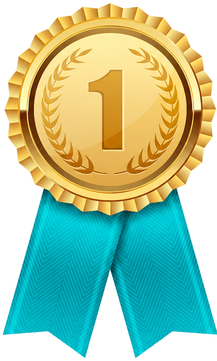 1 place medal